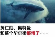 开元官方下载-猛龙负于魔术，遇险困境寻求突破的简单介绍