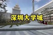 开元棋牌在线入口-深圳大学城主场再胜，面对汉中锦龙争取领先一步