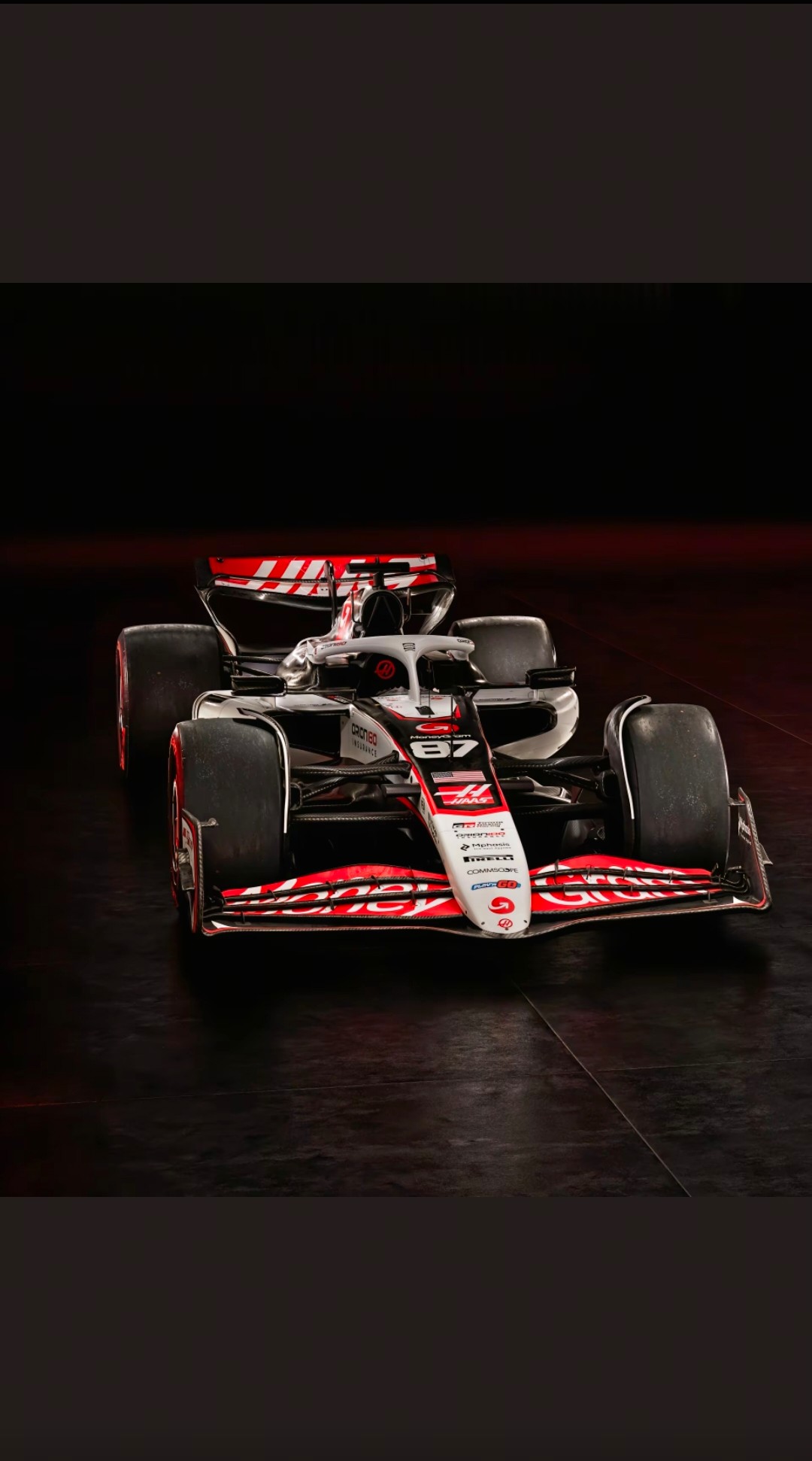 关于雷诺车队横扫哈斯车队，皮亚斯特里高光表现的信息